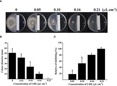 2-Heptanol inhibits Botrytis cinerea by accelerating amino acid metabolism and retarding membrane transport